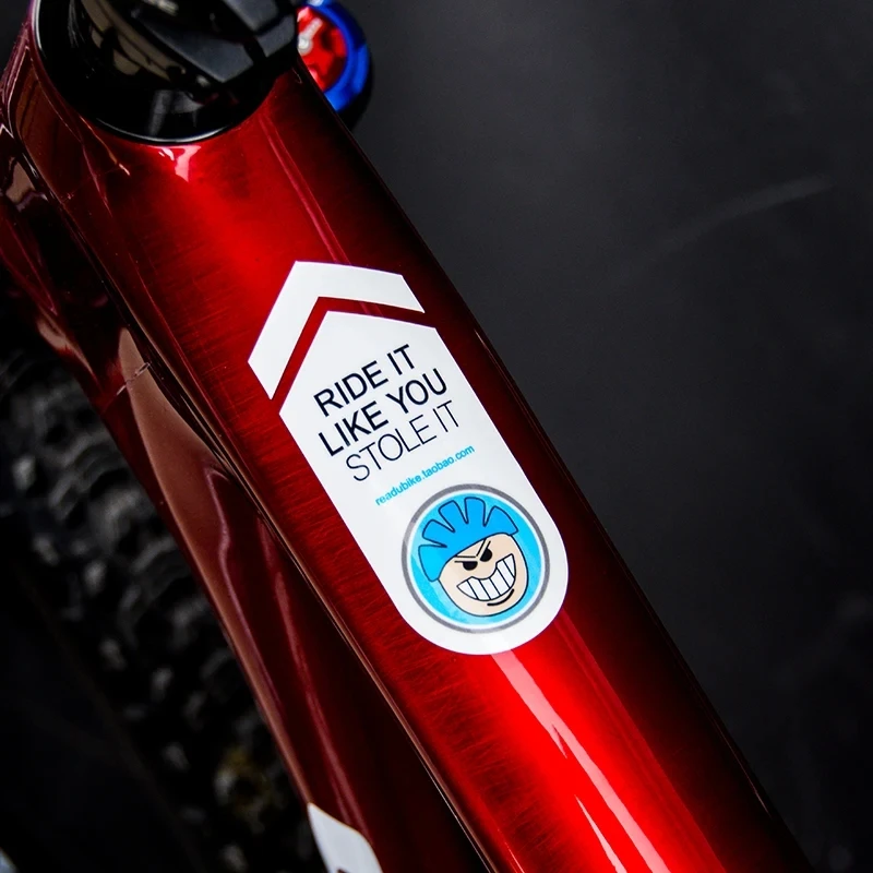 Picture Of Mountain Biking - 2pcs Mountain Bike Bicycle Frame Stickers